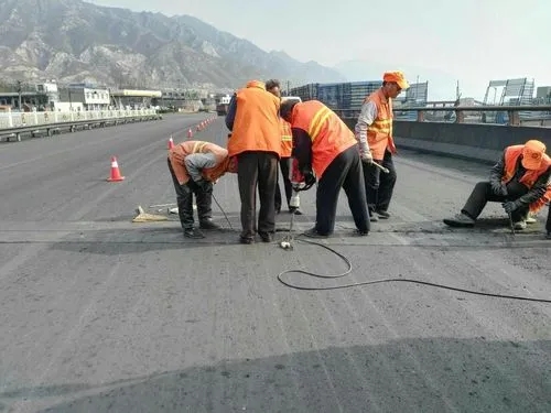 黎安镇道路桥梁病害治理